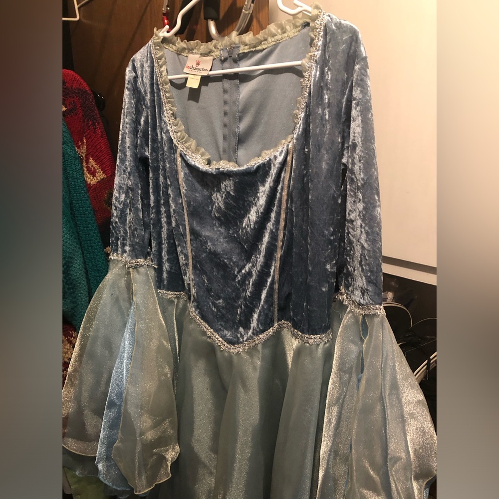 🎃In Character Costumes Fairy Dress- 766 $30 or $25 w/offer
